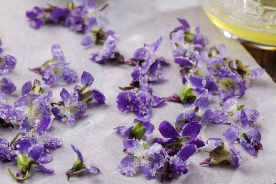 How to Make Easy Edible Sugared Flowers