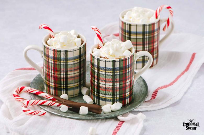 Hot Cocoa with Chocolate Dipped Peppermint Candy Canes