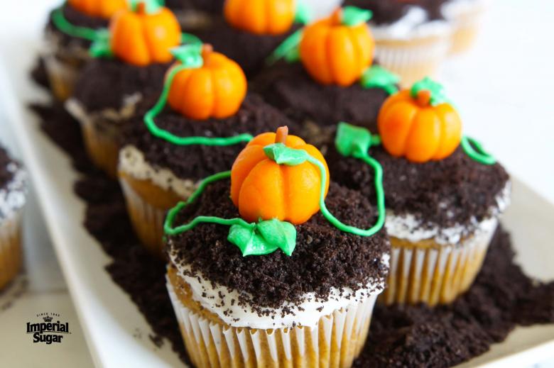 pumpkin patch cupcakes imperial