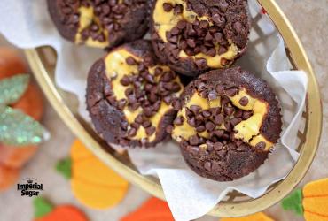 Pumpkin Chocolate Cheesecake Muffins imperial