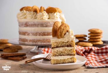 Snickerdoodle Layer Cake Imperial 