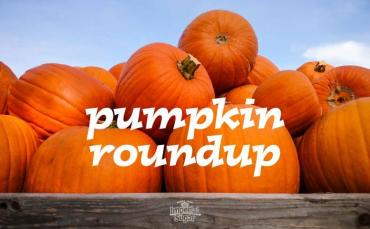 10 Pumpkin Recipes for the Fall Season