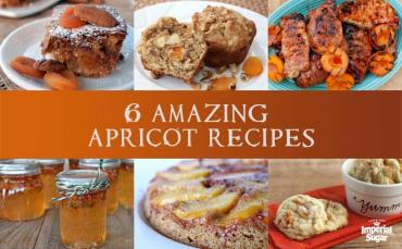 6 Amazing Apricot Recipes Imperial 